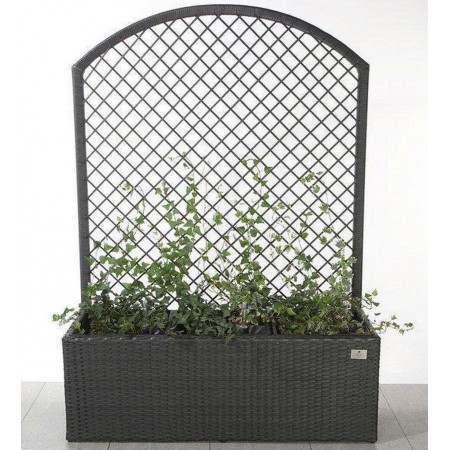 Chậu Trồng Cây : Hình Chữ Nhật Bằng Mây Đan Có Giàn Leo - 2 Pcs